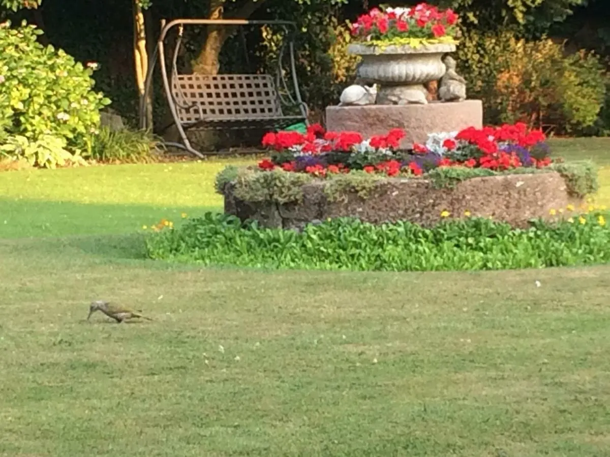 Little Manor Bed & Breakfast Cheltenham